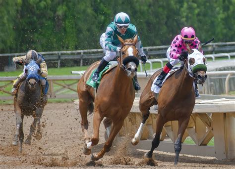 Horse Betting Rules Do's & Don'ts .